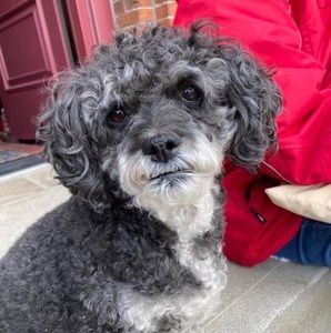 Meet your Posher, Cindy